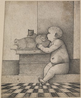 Baby and Three Cats